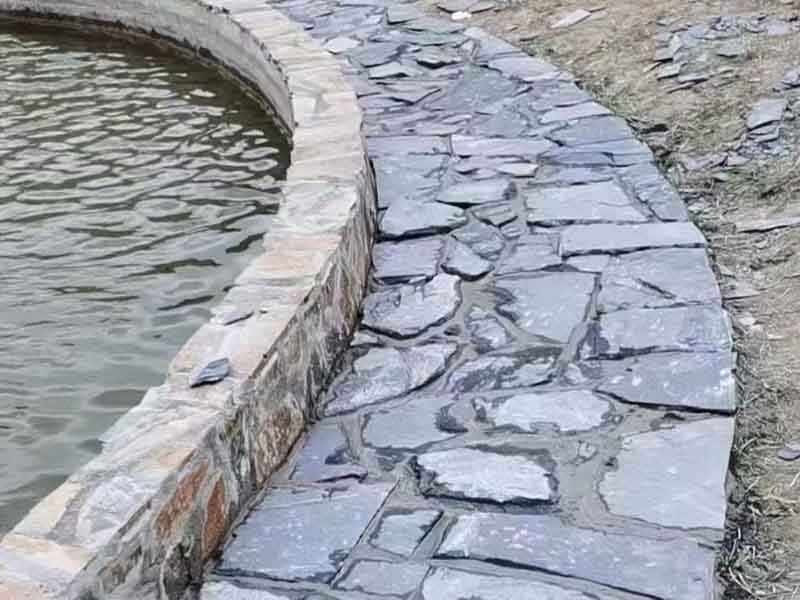 異形石