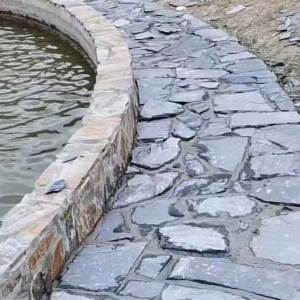 異形石
